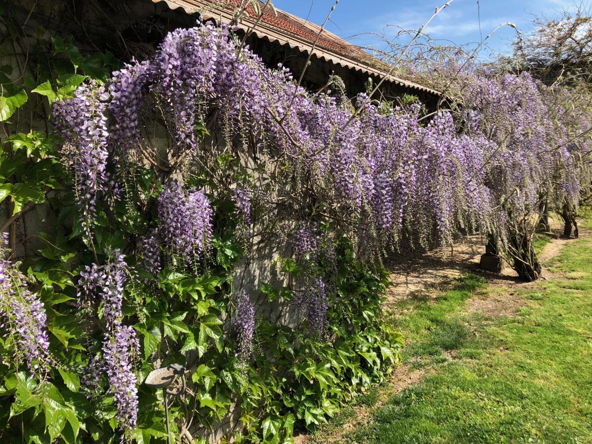 Chambres D'Hotes D'Albertine Lere Exterior foto